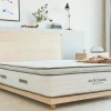Avocado Green Mattress Plush California King Mattress