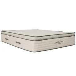 Avocado Green Mattress Plush Twin XL Mattress